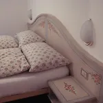 公寓 Cesa Maria Mountain Hospitality *